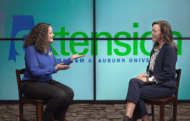 TV host on air speaking to ACES Extension Director, Eve Brantley