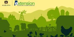 A green and yellow, illustrated farm scene, which includes cows, chickens, barns, and other farming elements.