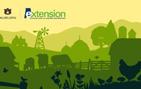 A green and yellow, illustrated farm scene, which includes cows, chickens, barns, and other farming elements.