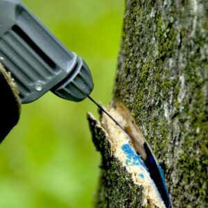 Hack-and-squirt herbicide treatment method