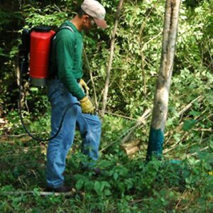 Basal bark herbicide treatment method