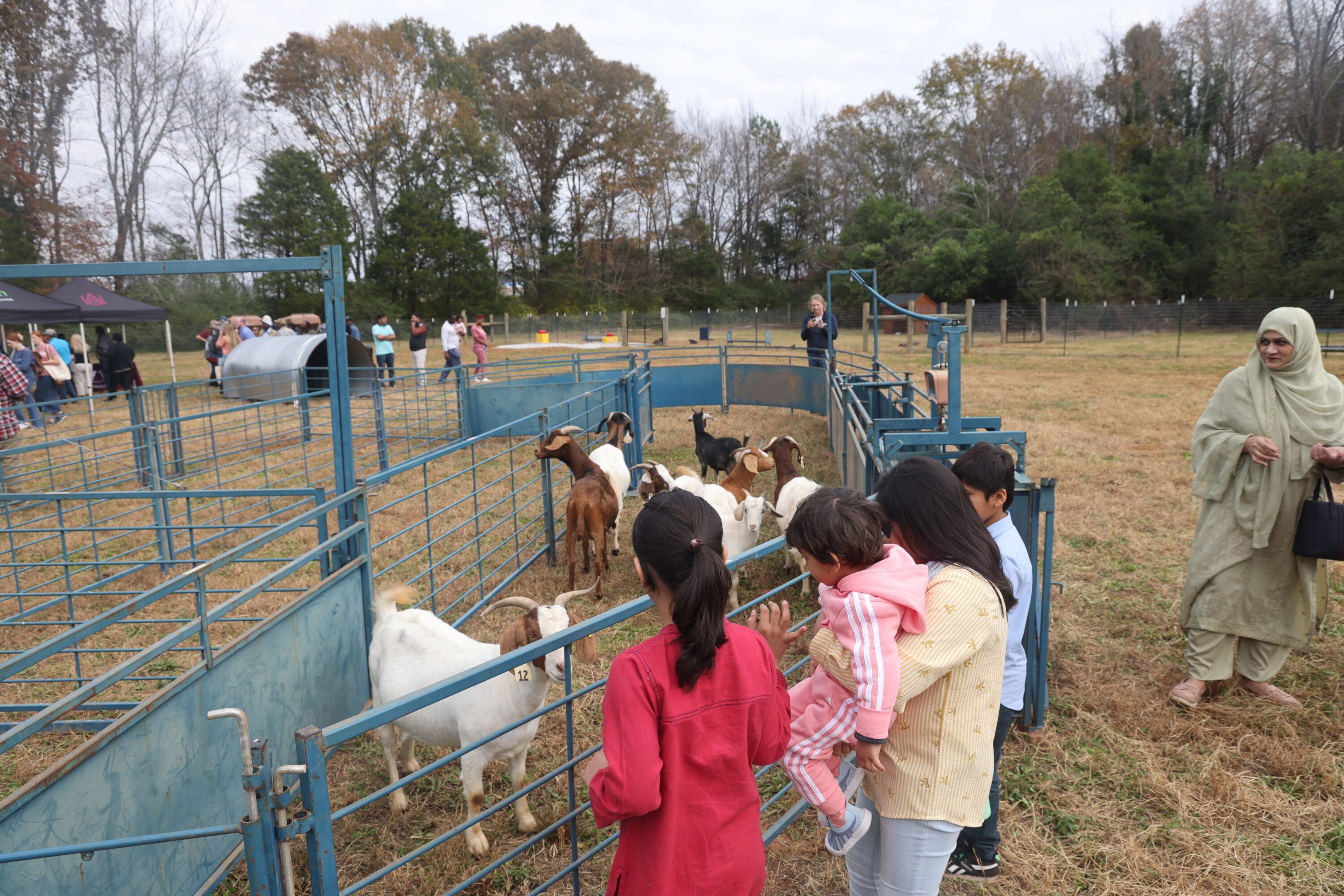 Family viewing goats at 2025 AL Goat & Sheep Summit