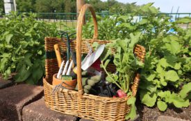 Gardening tools in a basket