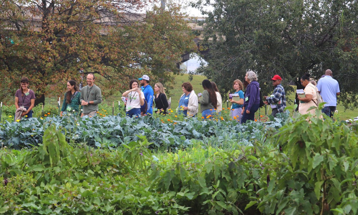 A group of people touring a garden.
