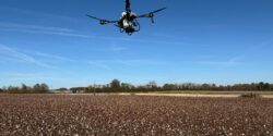 An agricultural drone broadcasting cereal rye seed in a recently harvested cotton field.