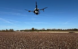 An agricultural drone broadcasting cereal rye seed in a recently harvested cotton field.