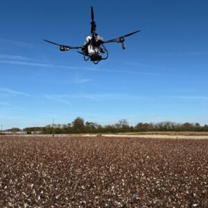 An agricultural drone broadcasting cereal rye seed in a recently harvested cotton field.
