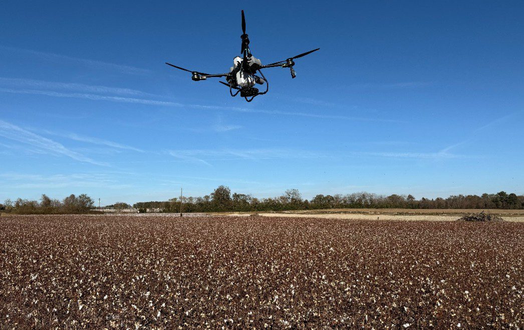 An agricultural drone broadcasting cereal rye seed in a recently harvested cotton field.