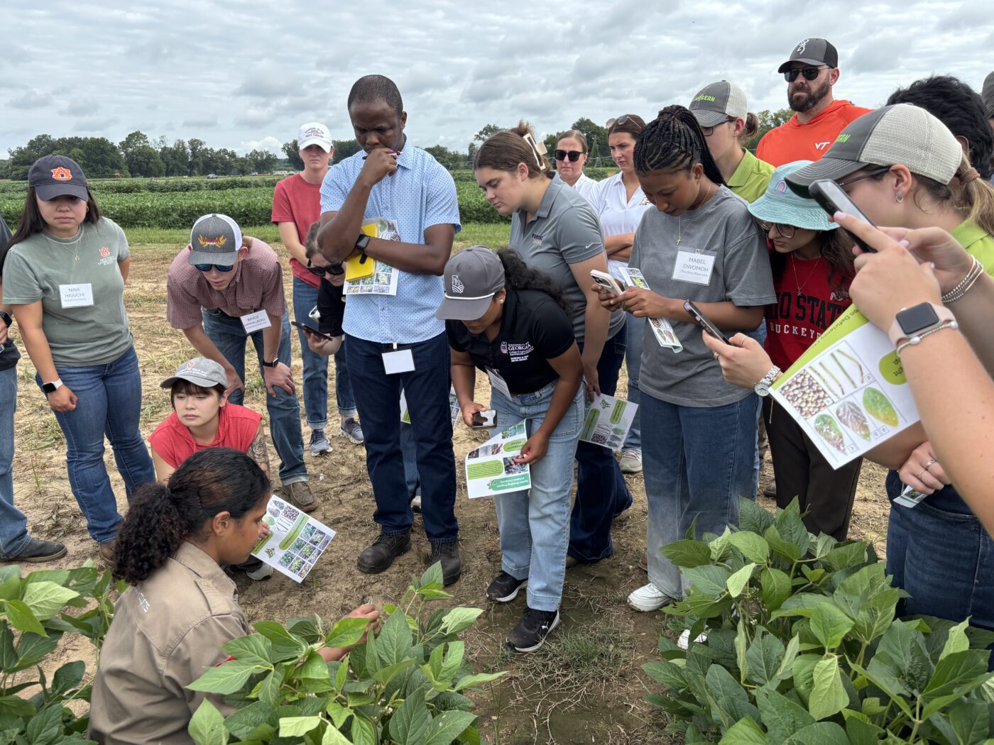 Students watch demonstration of soybean crop breeding at Auburn University Plant Breeding Unit for the graduate student crops tours
