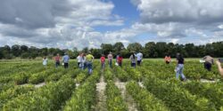 Students walk through soybean crop fields at Black Belt Research and Extension Center