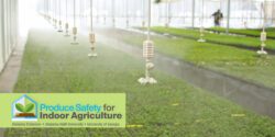 An overhead irrigation system in a greenhouse over young plants with the Produce Safety Indoor Agriculture logo.