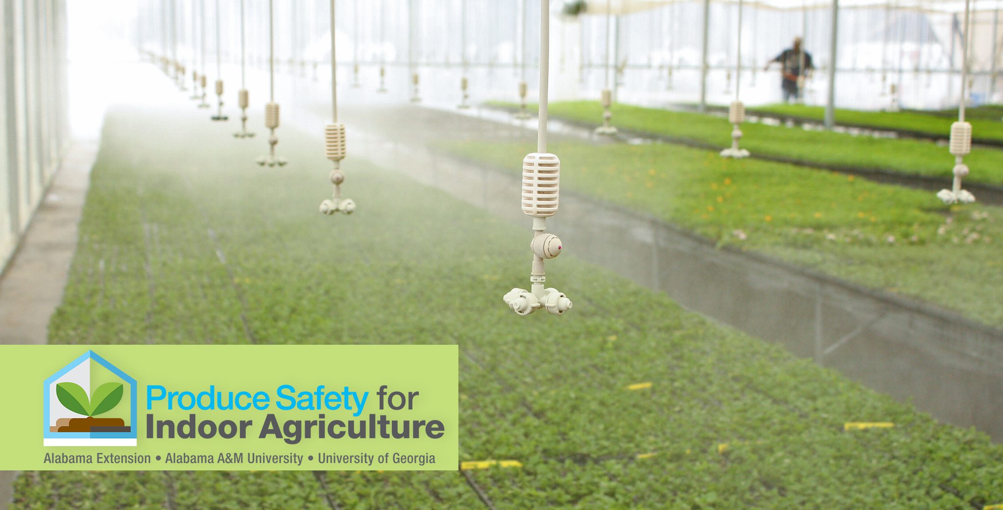 An overhead irrigation system in a greenhouse over young plants with the Produce Safety Indoor Agriculture logo.