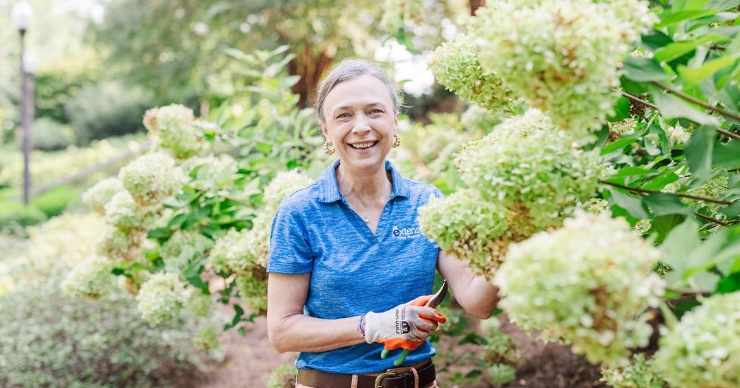 Kerry Smith holds pruning shears by a large hydrangea plant