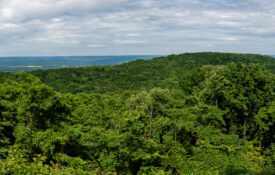 Panoramic view from Monte Sano State Park in Alabama