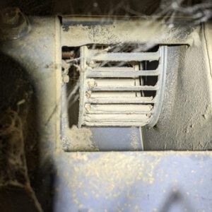 Figure 2B. In the same box, dust has built up on the blower fan blades.