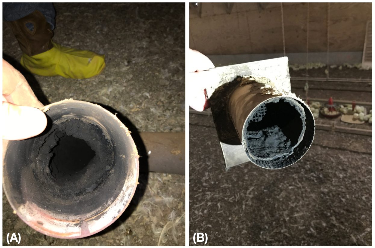 Figure 3. Two examples of soot buildup inside radiant tube heaters.