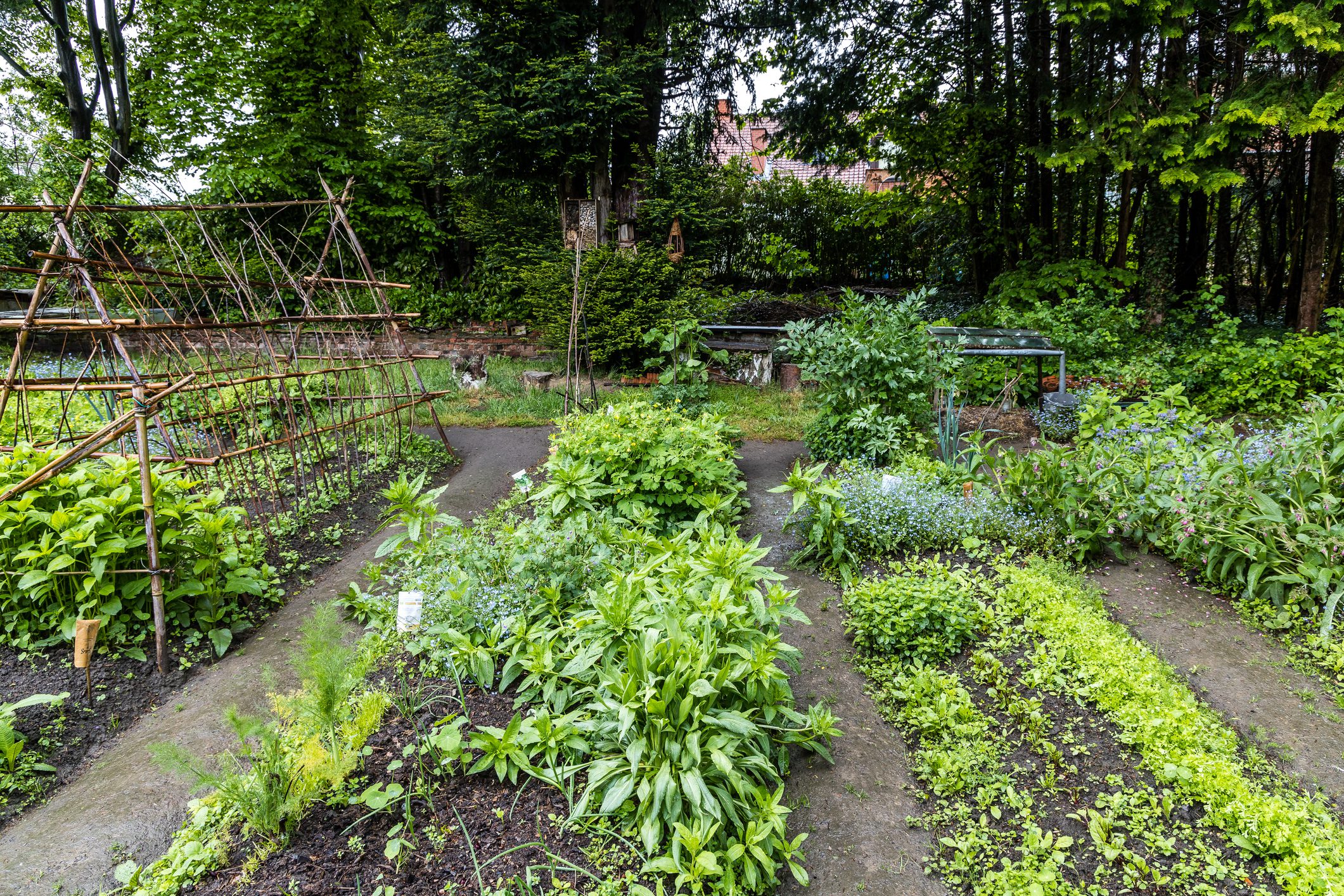 Urban vegetable garden, Watermael-Boitsfort, Brussels, Belgium advertising for Free Homestead Day