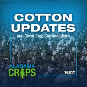 Alabama Crops logo with Season 6 episode 17 with episode title and image of cotton in background