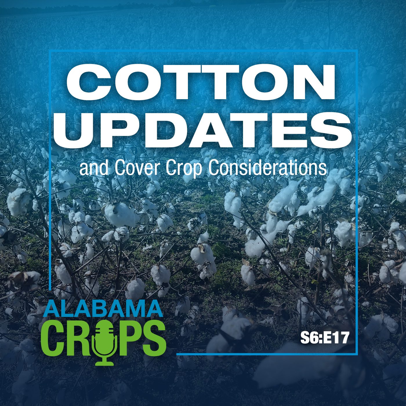 Alabama Crops logo with Season 6 episode 17 with episode title and image of cotton in background