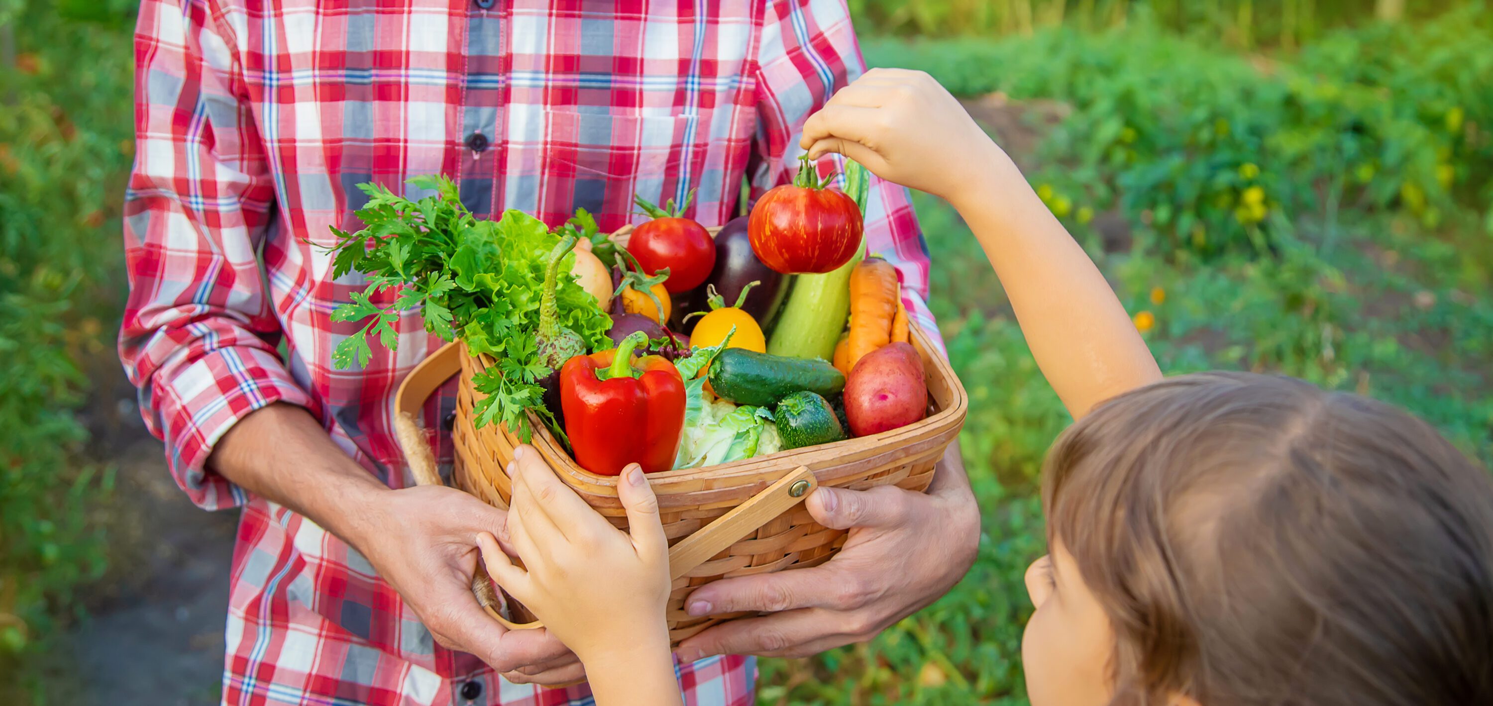 A Farmer And A Child Are Holding A Harvest to celebrate grow more give more
