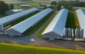 An aerial view of four commercial poultry houses.