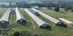 An aerial view of a four-house commercial broiler farm on terrain that slopes from highest to lowest points. The storage bladder is on the lowest terrain.