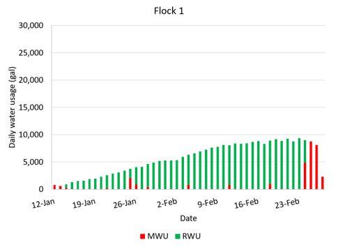 Figure 5A. Daily water use in gallons for flock 1 from approximately January 12 to February 28, 2024, on a four-house farm in Cullman County. This chart compares daily water use from two sources: municipal water (MWU), shown in red, and rainwater (RWU), shown in green. Overall, the chart shows that rainwater supplied most of the flock's daily water needs during January and most of February, with usage increasing steadily over time. Municipal water was used only intermittently during that period and became the primary water source only during the final days of the monitoring period when rainwater use decreased.