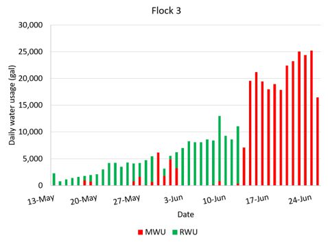 Figure 5C. Daily water use in gallons for flock 3 from approximately May 14 to June 26, 2024, on a four-house farm in Cullman County. This chart compares daily water use from two sources: municipal water (MWU), shown in red, and rainwater (RWU), shown in green. Overall, the chart shows that rainwater supplied most of the flock's daily water needs from mid-May through mid-June, with usage generally increasing over time. Municipal water was used intermittently during this period and became the primary water source during the latter portion of the monitoring period, when daily water use was highest due to evaporative cooling.
