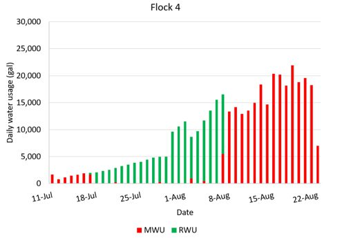 Figure 5D. Daily water use in gallons for flock 4 from approximately July 12 to August 24, 2024, on a four-house farm in Cullman County. This chart compares daily water use from two sources: municipal water (MWU), shown in red, and rainwater (RWU), shown in green. Overall, the chart shows that rainwater supplied most of the flock's daily water needs from mid-July through early August, with usage generally increasing over time. Municipal water was used during the beginning of the flock and intermittently while rainwater was available, then became the primary water source during the latter portion of the monitoring period due to evaporative cooling.