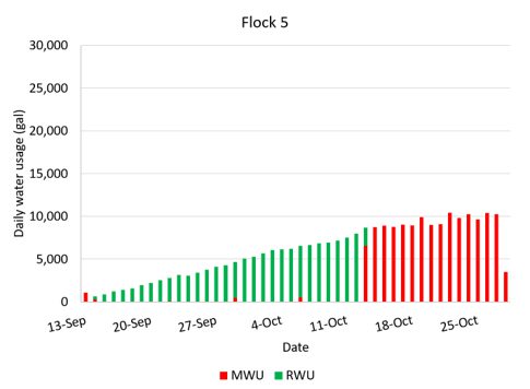 Figure 5E. Daily water use in gallons for flock 5 from approximately September 14 to October 29, 2024, on a four-house farm in Cullman County. This chart compares daily water use from two sources: municipal water (MWU), shown in red, and rainwater (RWU), shown in green. Overall, the chart shows that rainwater supplied most of the flock's daily water needs from mid-September through mid-October, with usage increasing steadily over time. Municipal water was used only intermittently during this period and became the primary water source during the latter portion of the monitoring period when rainwater use decreased.