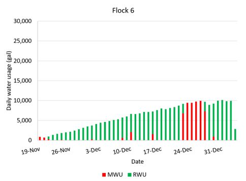 Figure 5F. Daily water use in gallons for flock 6 from approximately November 20, 2024, to January 5, 2025, on a four-house farm in Cullman County. This chart compares daily water use from two sources: municipal water (MWU), shown in red, and rainwater (RWU), shown in green. Overall, the chart shows that rainwater supplied most of the flock's daily water needs during the monitoring period, with usage generally increasing from late November through December. Municipal water was used intermittently, including for several consecutive days in late December, but rainwater again supplied most of the daily water needs near the end of the monitoring period.