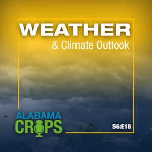 Alabama crops logo in corner with words weather and climate outlook as title. Season 6 episode 18 all over an image of a storm cloud for representation of El Niño