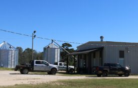 the E.V. Smith Research Center's beef unit in Shorter, Alabama