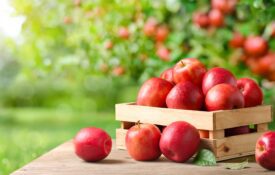 basket of red apples on a table with an apple outside of the basket